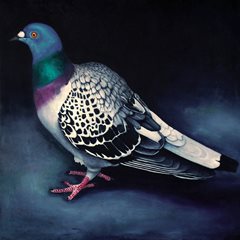 Eric Hynynen, Big Pigeon, 2015, 160x160cm, oil on canvas
