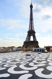 Lena Nyadbi, Dayiwul Lirlmim (Barramundi Scales), 2012. Rooftop installation, Musée du quay Branly, Paris. Image courtesy of Jonathan Kimberley.