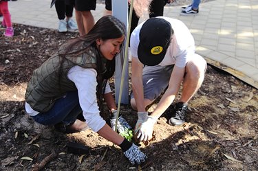 Planting seedlings in the garden, ArtsHouse AiR program, 2018. Photographer: Perdita Phillips