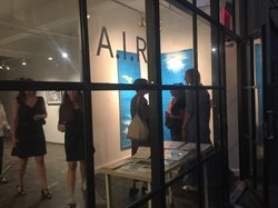 Laura Mitchell, A.I.R. Gallery Opening Night
