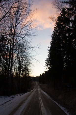 Stuart McMillan, Silent Road, 2017. Image courtesy of the artist