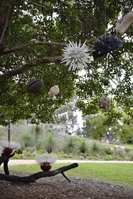 Karen Millar and Pascal Proteau, From Pollination to Inspiration, 2017. Kings Park Festival. Photographer: Sue-Lyn Moyle