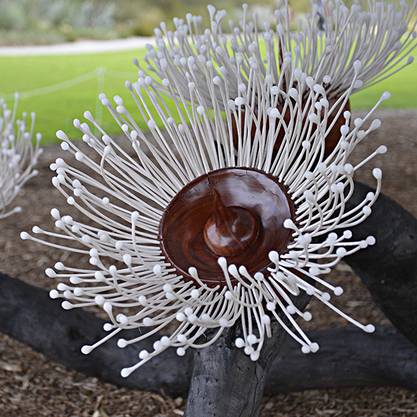 Karen Millar and Pascal Proteau, From Pollination to Inspiration, 2017. Kings Park Festival. Photographer: Sue-Lyn Moyle 