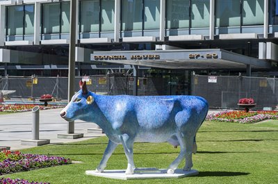 092_COWS_PARADE_2016_in_situ_LOWres.jpg