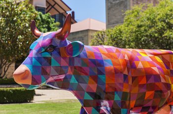 142_COWS_PARADE_2016_in_situ_LOWres.jpg
