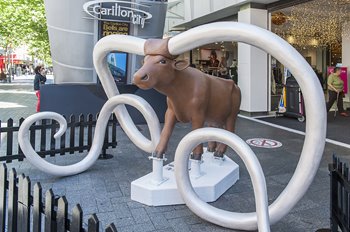 111_COWS_PARADE_2016_in_situ_LOWres.jpg