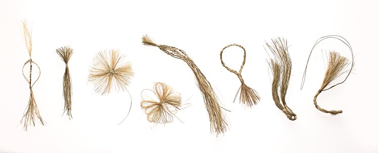 Holly Story, Riparian Charms #2, 2013. Juncus Krausii fibre, lightbox. 77cm x 105cm x 35cm. Photographer: Robert Frith.