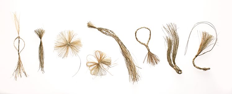 Holly Story, Riparian Charms #2, 2013. Juncus Krausii fibre, lightbox. 77cm x 105cm x 35cm. Photographer: Robert Frith.